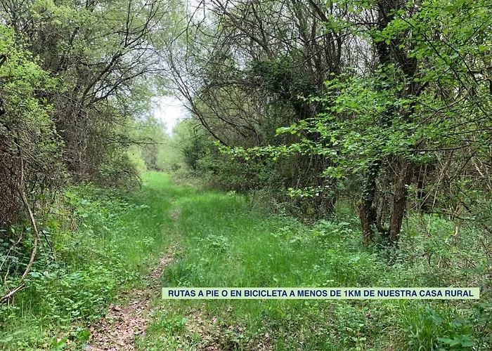 Bed & Breakfast La Cabala De Ibeas 3*